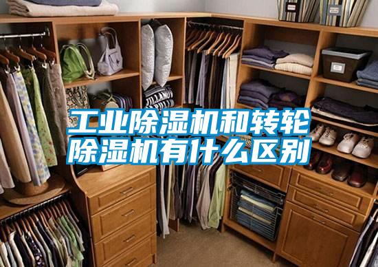 欧美黄色电影在线播放 工业除湿机和转轮除湿机有什么区别