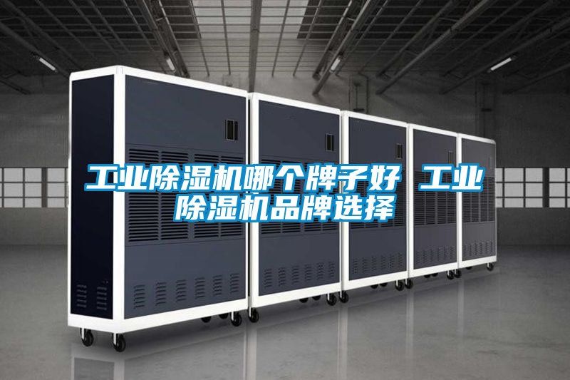 欧美黄色性爱视频网站 工业除湿机哪个牌子好 工业除湿机品牌选择