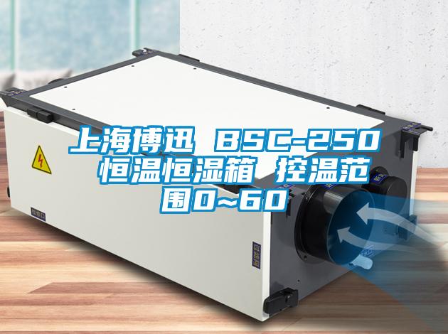 欧美黄色性爱视频网站 上海博迅 BSC-250 恒温恒湿箱 控温范围0~60℃