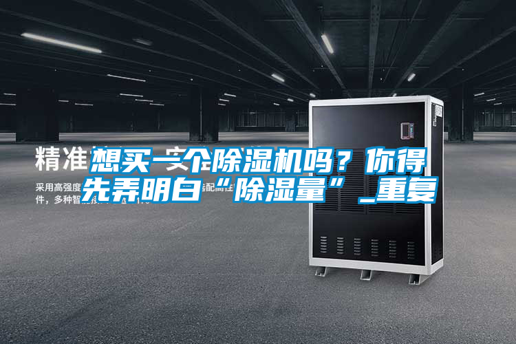 欧美成色手机在线观看 想买一个除湿机吗？你得先弄明白“除湿量”_重复