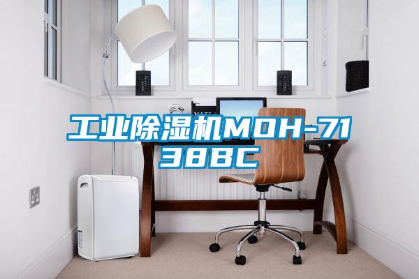 欧美黄色电影在线播放 工业除湿机MOH-7138BC