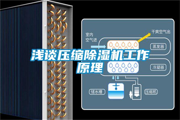 欧美黄色性爱视频网站 浅谈压缩除湿机工作原理