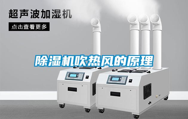 欧美黄色电影在线播放 除湿机吹热风的原理