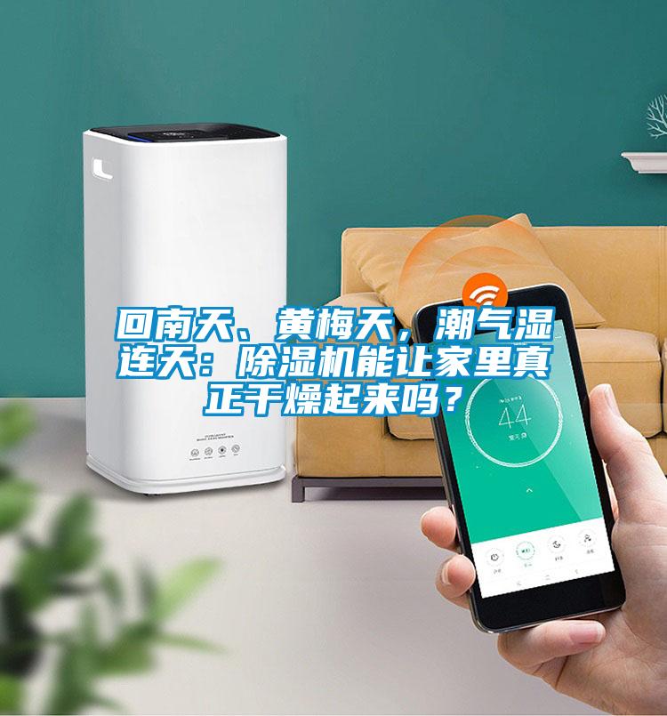 欧美黄色性爱视频网站 回南天、黄梅天，潮气湿连天：除湿机能让家里真正干燥起来吗？