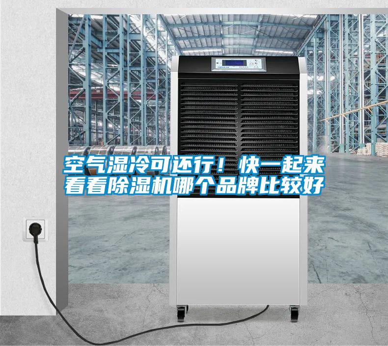 欧美黄色性爱视频网站 空气湿冷可还行！快一起来看看除湿机哪个品牌比较好