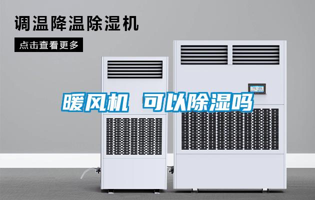 欧美黄色性爱视频网站 暖风机 可以除湿吗