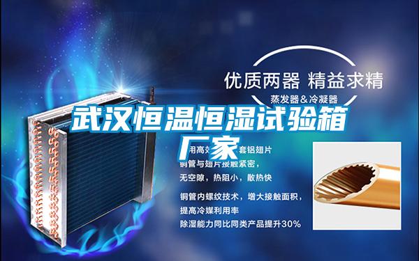 欧美成色手机在线观看 武汉恒温恒湿试验箱厂家