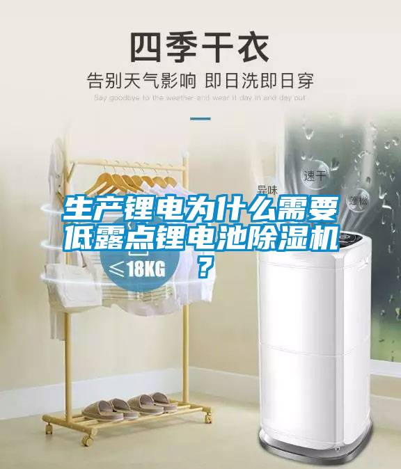 欧美成色手机在线观看 生产锂电为什么需要低露点锂电池除湿机？