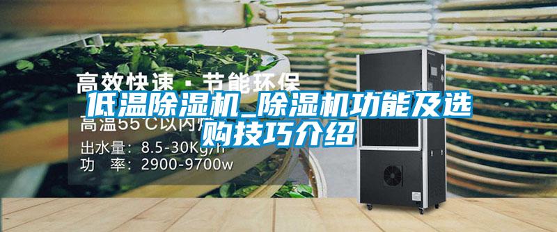 欧美黄色电影在线播放 低温除湿机_除湿机功能及选购技巧介绍