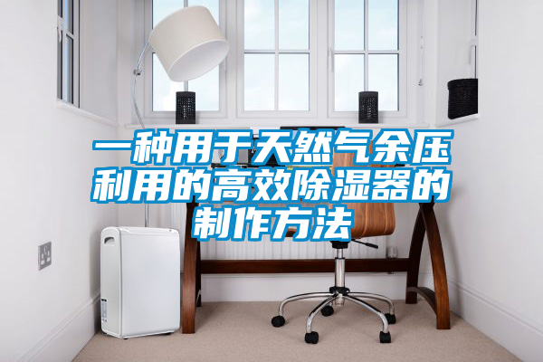 欧美黄色电影在线播放 一种用于天然气余压利用的高效除湿器的制作方法