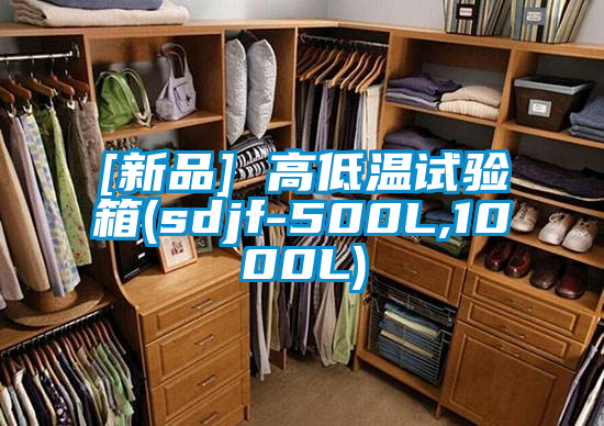 欧美黄色性爱视频网站 [新品] 高低温试验箱(sdjf-500L,1000L)
