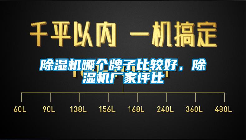 欧美黄色性爱视频网站 除湿机哪个牌子比较好，除湿机厂家评比