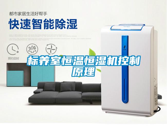 欧美黄色电影在线播放 标养室恒温恒湿机控制原理