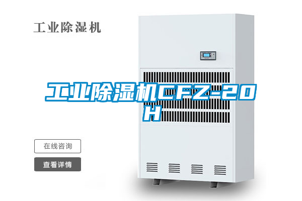 欧美黄色电影在线播放 工业除湿机CFZ-20H