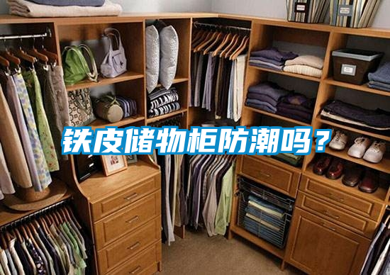 欧美黄色性爱视频网站 铁皮储物柜防潮吗？