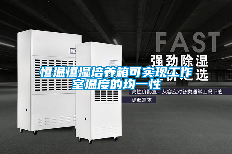 欧美黄色电影在线播放 恒温恒湿培养箱可实现工作室温度的均一性