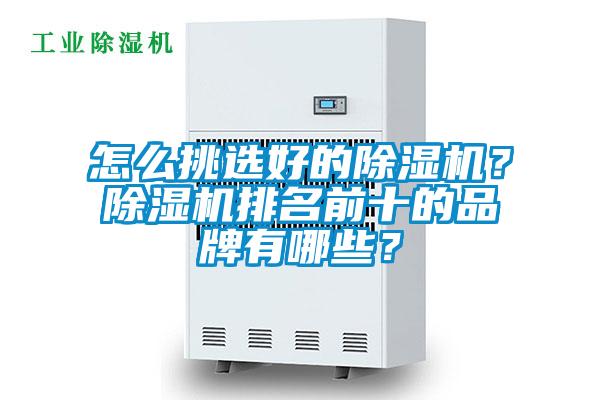 欧美黄色性爱视频网站 怎么挑选好的除湿机？除湿机排名前十的品牌有哪些？