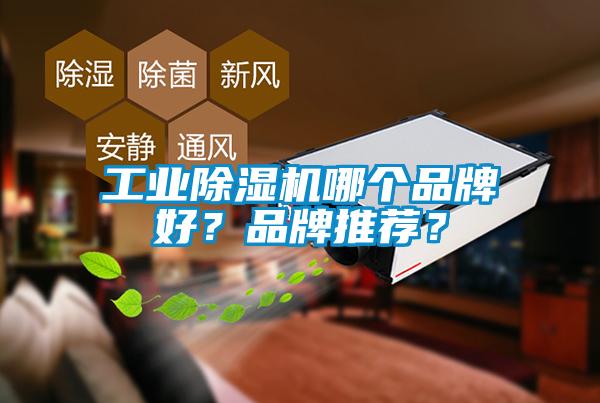 欧美黄色性爱视频网站 工业除湿机哪个品牌好？品牌推荐？