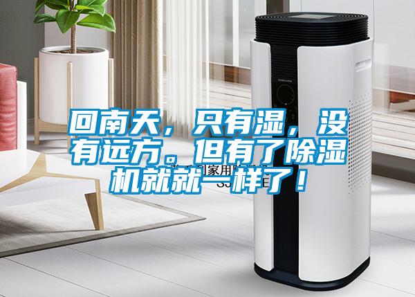 欧美成色手机在线观看 回南天，只有湿，没有远方。但有了除湿机就就一样了！