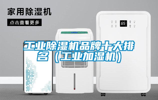 欧美黄色性爱视频网站 工业除湿机品牌十大排名（工业加湿机）