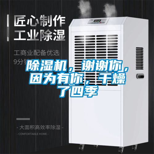 欧美黄色性爱视频网站 除湿机，谢谢你，因为有你，干燥了四季