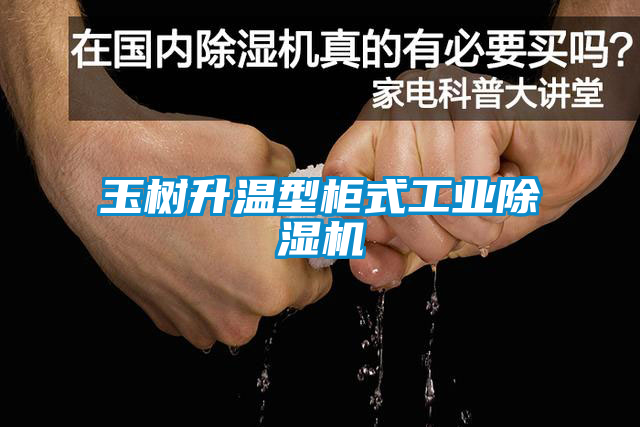 欧美黄色电影在线播放 玉树升温型柜式工业除湿机