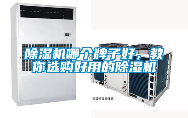 欧美黄色性爱视频网站 除湿机哪个牌子好，教你选购好用的除湿机