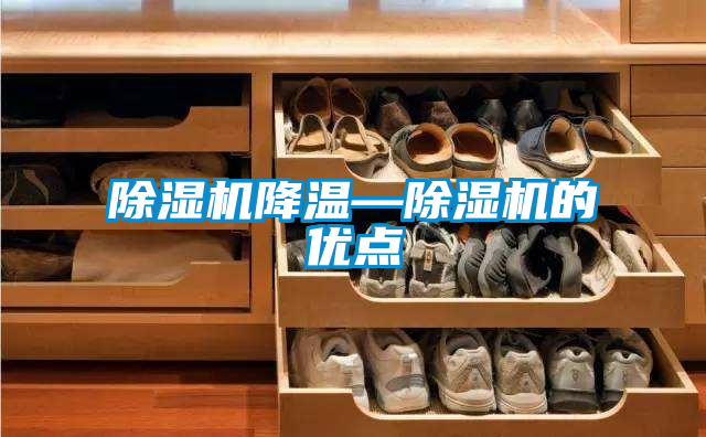 欧美黄色性爱视频网站 除湿机降温—除湿机的优点