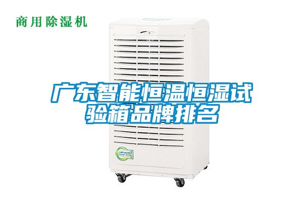 欧美黄色性爱视频网站 广东智能恒温恒湿试验箱品牌排名