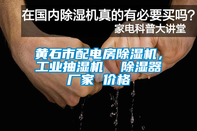 欧美黄色性爱视频网站 黄石市配电房除湿机，工业抽湿机  除湿器厂家 价格