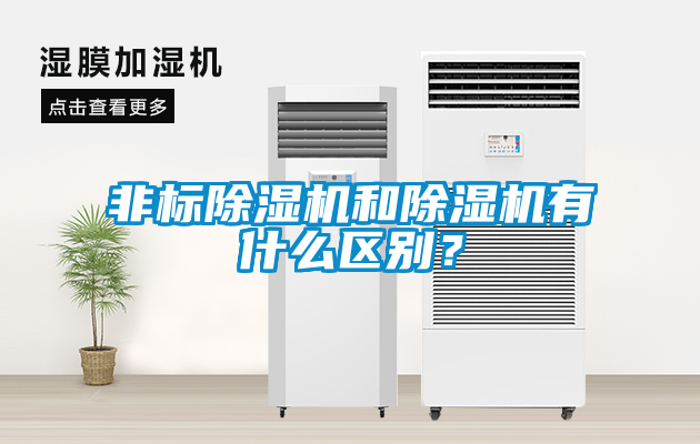 欧美成色手机在线观看 非标除湿机和除湿机有什么区别？