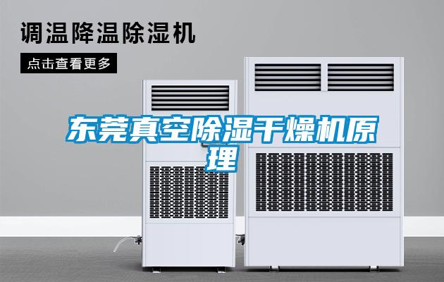 欧美黄色电影在线播放 东莞真空除湿干燥机原理