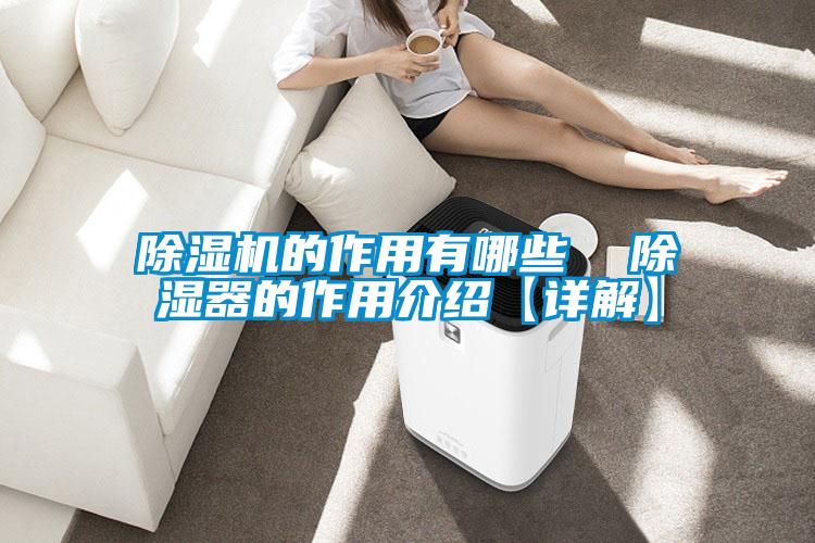 欧美成色手机在线观看 除湿机的作用有哪些  除湿器的作用介绍【详解】