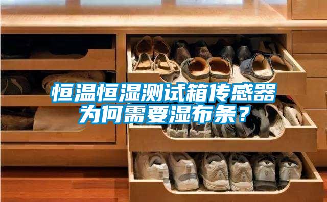欧美黄色性爱视频网站 恒温恒湿测试箱传感器为何需要湿布条？