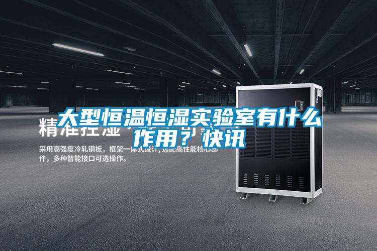 欧美成色手机在线观看 大型恒温恒湿实验室有什么作用？快讯