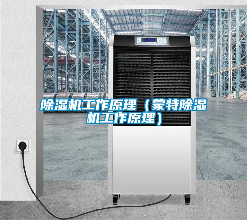欧美黄色性爱视频网站 除湿机工作原理（蒙特除湿机工作原理）