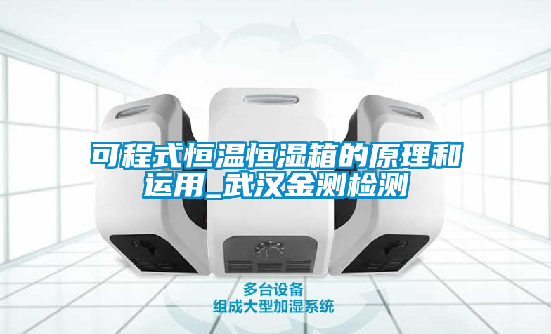 欧美成色手机在线观看 可程式恒温恒湿箱的原理和运用_武汉金测检测