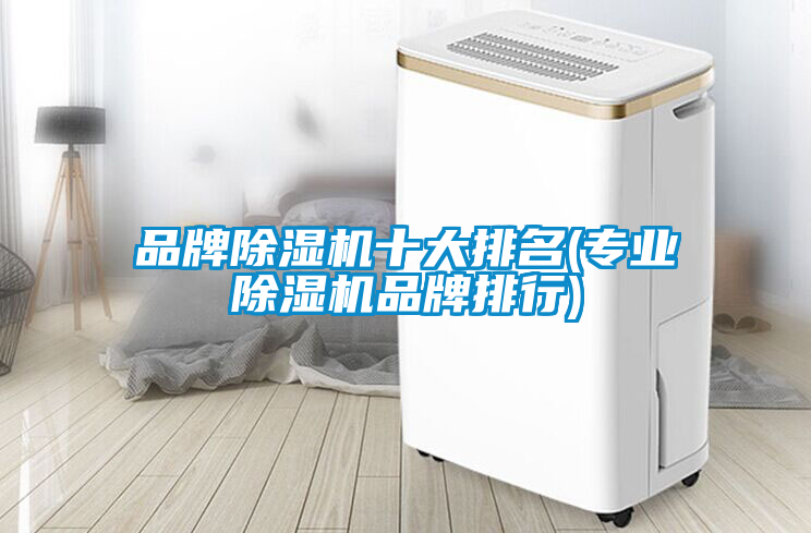 欧美黄色性爱视频网站 品牌除湿机十大排名(专业除湿机品牌排行)