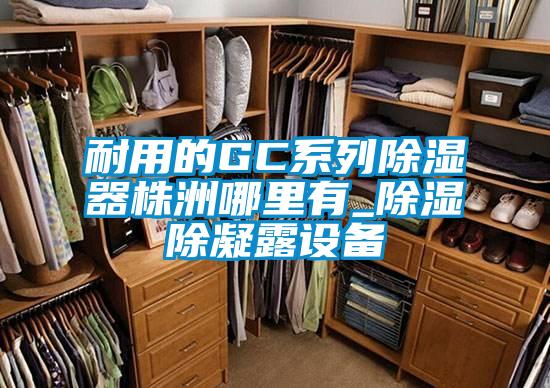 欧美成色手机在线观看 耐用的GC系列除湿器株洲哪里有_除湿除凝露设备