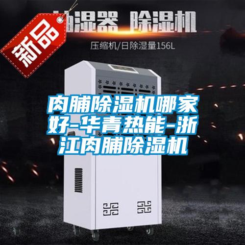 欧美黄色性爱视频网站 肉脯除湿机哪家好-华青热能-浙江肉脯除湿机