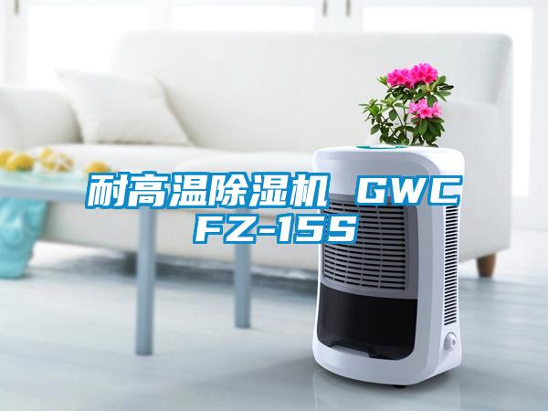 欧美成色手机在线观看 耐高温除湿机 GWCFZ-15S