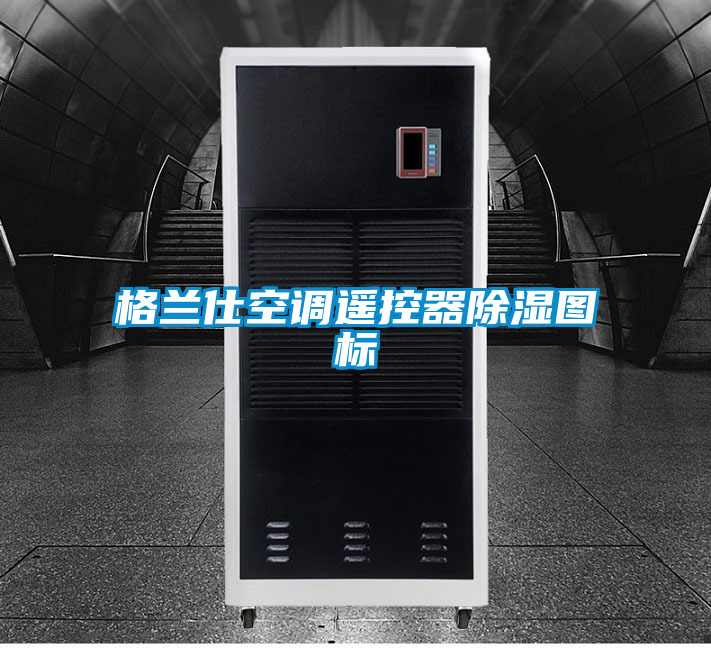 欧美黄色电影在线播放 格兰仕空调遥控器除湿图标