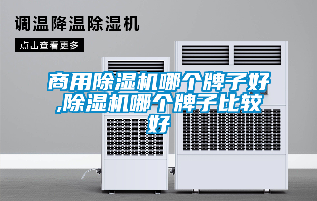 欧美成色手机在线观看 商用除湿机哪个牌子好,除湿机哪个牌子比较好