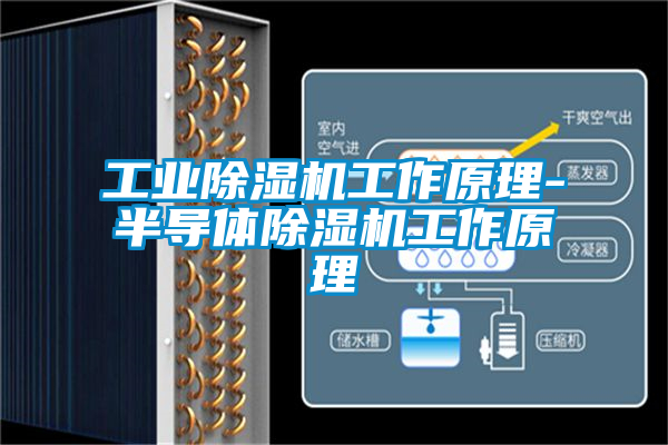 欧美黄色电影在线播放 工业除湿机工作原理-半导体除湿机工作原理
