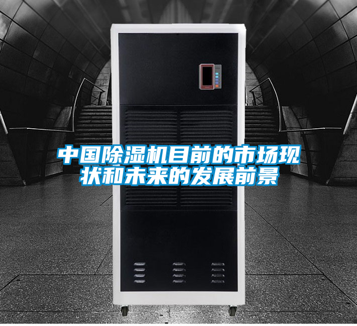 欧美黄色性爱视频网站 中国除湿机目前的市场现状和未来的发展前景