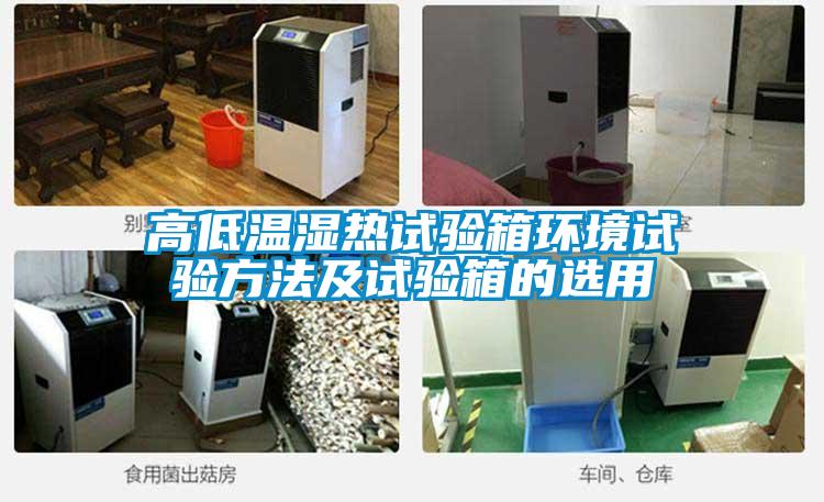 欧美黄色电影在线播放 高低温湿热试验箱环境试验方法及试验箱的选用