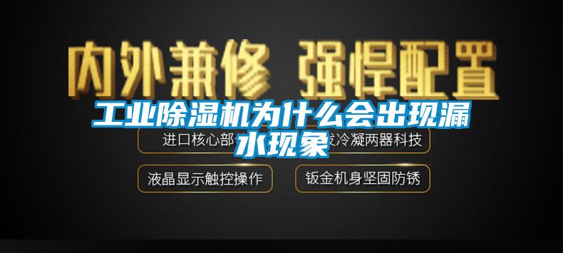 欧美成色手机在线观看 工业除湿机为什么会出现漏水现象