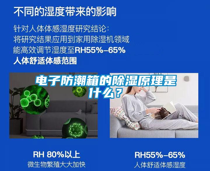 欧美黄色电影在线播放 电子防潮箱的除湿原理是什么？