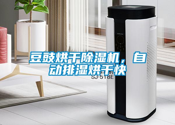 欧美黄色性爱视频网站 豆豉烘干除湿机，自动排湿烘干快