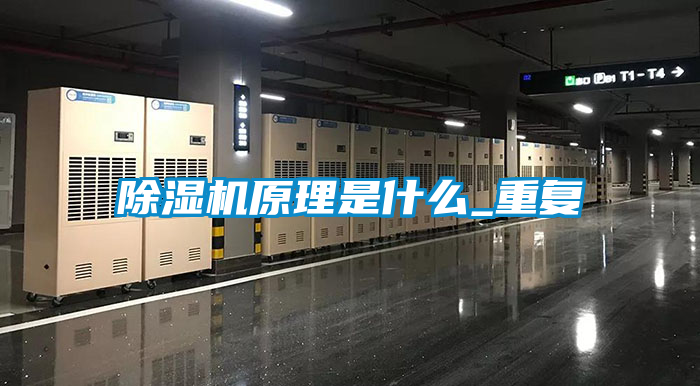 欧美成色手机在线观看 除湿机原理是什么_重复